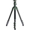 Tilta Carbon Fiber Travel Tripod with BT-05 Ball Head (Forest Green)