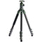 Tilta Carbon Fiber Travel Tripod with BT-05 Ball Head (Forest Green)