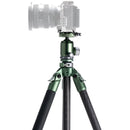 Tilta Carbon Fiber Travel Tripod with BT-05 Ball Head (Forest Green)