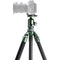 Tilta Carbon Fiber Travel Tripod with BT-05 Ball Head (Forest Green)