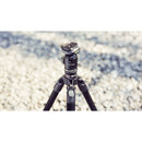 Tilta Carbon Fiber Travel Tripod with BT-05 Ball Head (Forest Green)