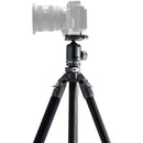 Tilta Carbon Fiber Travel Tripod with BT-05 Ball Head (Space Gray)