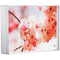 Canetti Design Group Color Edge Magnet Frame (Silver, 5 x 7")