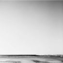 Rollei Ortho 25 Plus Black and White Negative Film (35mm Roll Film, 36 Exposures)