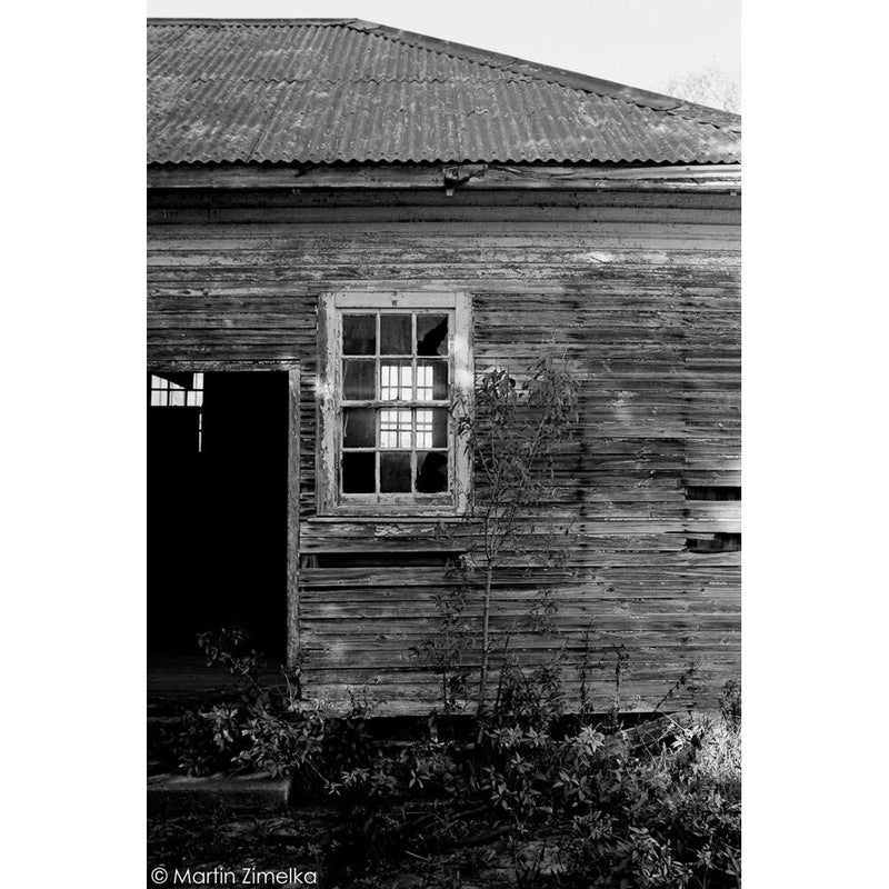 Rollei Ortho 25 Plus Black and White Negative Film (4 x 5", 25 Sheets)