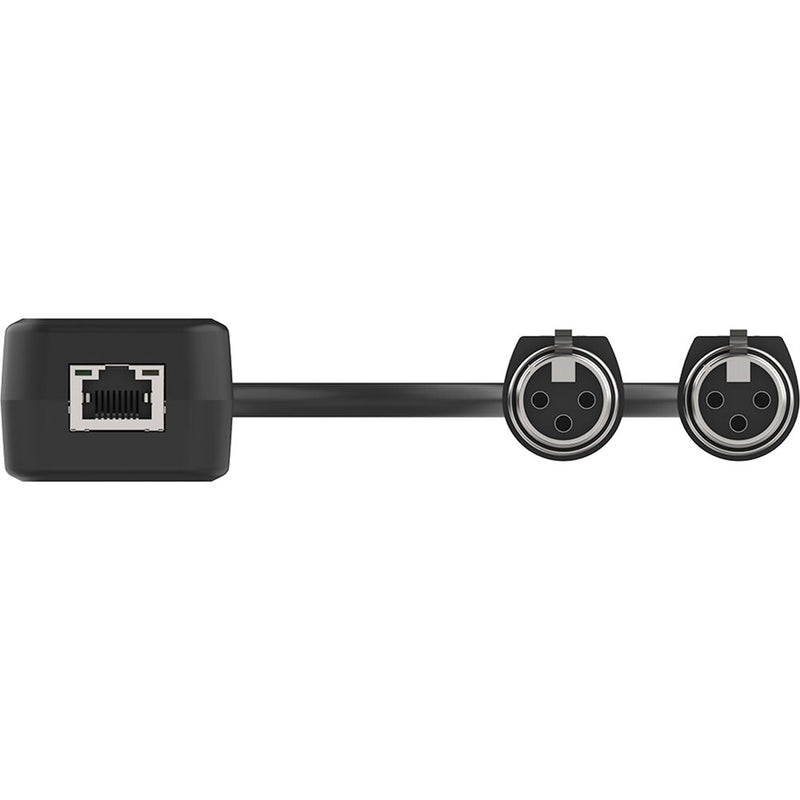 VigilLink 2CH Dante XLR Input Adapter