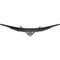 Acer Nitro EDA343CUR J0bmiippx 34" 1440p HDR Curved Gaming Monitor