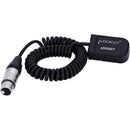 AUDIOROOT 4-Pin Female XLR Battery Output Cable (Coiled)