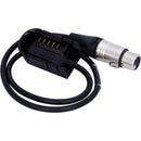 AUDIOROOT 4-Pin XLR Battery Output Cable