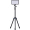 amaran Light Stand (6.6')
