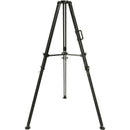 MRMC Slidekamera GIANT Tripod with 100mm Bowl Mount