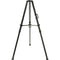 MRMC Slidekamera GIANT Tripod with 100mm Bowl Mount
