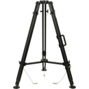 MRMC Slidekamera GIANT Tripod with 100mm Bowl Mount