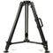 MRMC Slidekamera GIANT Tripod with 100mm Bowl Mount