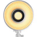 SmallRig RC 100C COB LED Monolight (White, Lite Version)