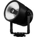 Portman Lights OMNIRAY RGBW LED Luminaire