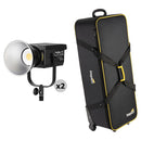 Nanlite FS-300B Bi-Color LED Monolight with Roller Bag Kit (2-Light Kit)