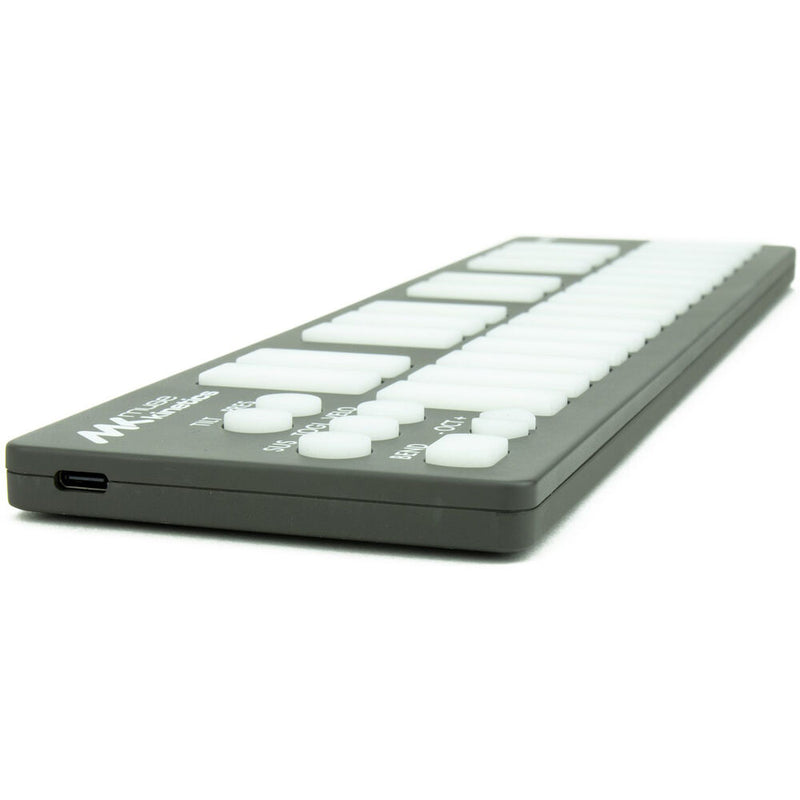 Keith McMillen Instruments K-Board-C Ultracompact USB MIDI Keyboard Controller (Galaxy)