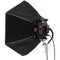 DoPchoice SNAPBAG Hexagon Softbox for Rotolight Anova PRO 3