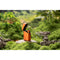 Olight Baton 4 Premium Edition LED Flashlight (Orange)