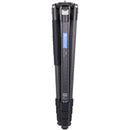 ARTCISE AS80C+MA Carbon Fiber Tripod with 65mm Bowl, Magic Arm & Smartphone Holder (Black)