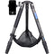ARTCISE AS80C+MA Carbon Fiber Tripod with 65mm Bowl, Magic Arm & Smartphone Holder (Black)