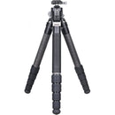 ARTCISE CS901C Compact Carbon Fiber Tripod with Low-Profile Head and Magic Arm