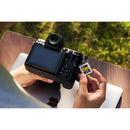Lexar 512GB Professional GOLD CFexpress 4.0 Type B Memory Card (2-Pack)