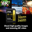 Lexar 256GB Professional 2000x UHS-II SDXC Memory Card (2-Pack)