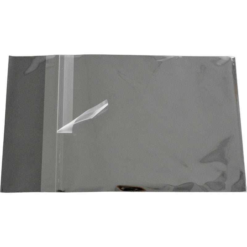Archival Methods Crystal Clear Bags (12.8 x 12.8", 100-Pack)