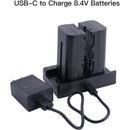 ANDYCINE 2-Bay L-Series/NP-F Fast Charger