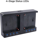 ANDYCINE 2-Bay L-Series/NP-F Fast Charger