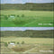 Cavision Graduated Green Filter (3 x 3", 2-Stop)