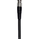 Canare L-5.5CUHWS 12G-SDI UHD 4K Coaxial Cable (2')