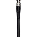Canare L-5.5CUHWS 12G-SDI UHD 4K Coaxial Cable (15')