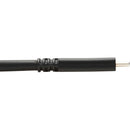 Tripp Lite USB-C 3.2 Gen 1 Extension Cable (6')