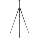 Benro CyanBird Aluminum Series 2 Tripod with FS20PROC501 Hybrid Photo/Video Head