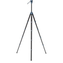 Benro CyanBird Carbon Fiber Series 2 Tripod with FS20PROC501 Hybrid Photo/Video Head