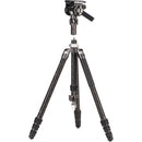 Benro KingPod 4-Section Tripod with FS36PRO Head (Carbon Fiber)
