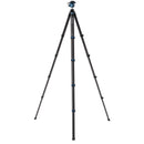 Benro BlackBird Carbon Fiber Tripod with G36PT Inverted Ball Head