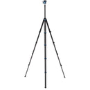Benro BlackBird Carbon Fiber Tripod with G36PT Inverted Ball Head