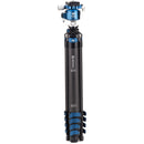 Benro BlackBird Carbon Fiber Tripod with G36PT Inverted Ball Head