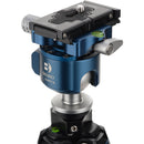 Benro BlackBird Carbon Fiber Tripod with G36PT Inverted Ball Head