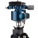 Benro BlackBird Carbon Fiber Tripod with G36PT Inverted Ball Head