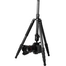 Fotopro X-65C Carbon Fiber Tripod with Ball Head