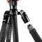 Fotopro X-65C Carbon Fiber Tripod with Ball Head