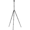 Fotopro X-Go Plus E 2 Carbon Fiber Tripod with Ball Head