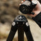 Falcam TREEROOT QUICK LOCK PRO TRIPOD (R240T)