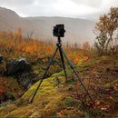 Falcam TREEROOT QUICK LOCK PRO TRIPOD (R240T)