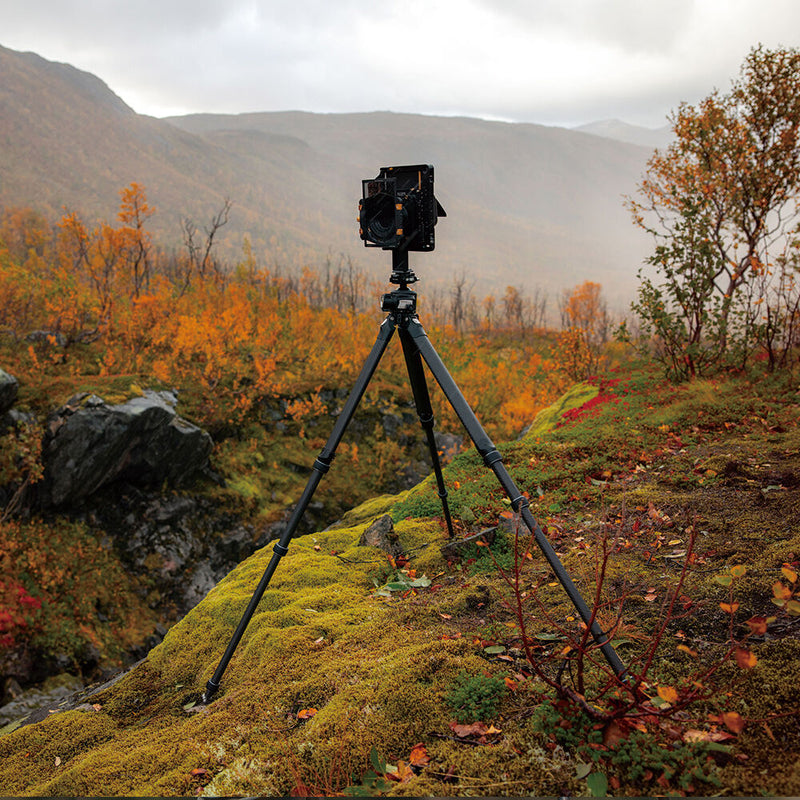 Falcam TREEROOT QUICK LOCK PRO TRIPOD (R240T)